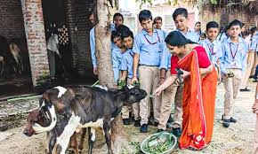Organic Farming